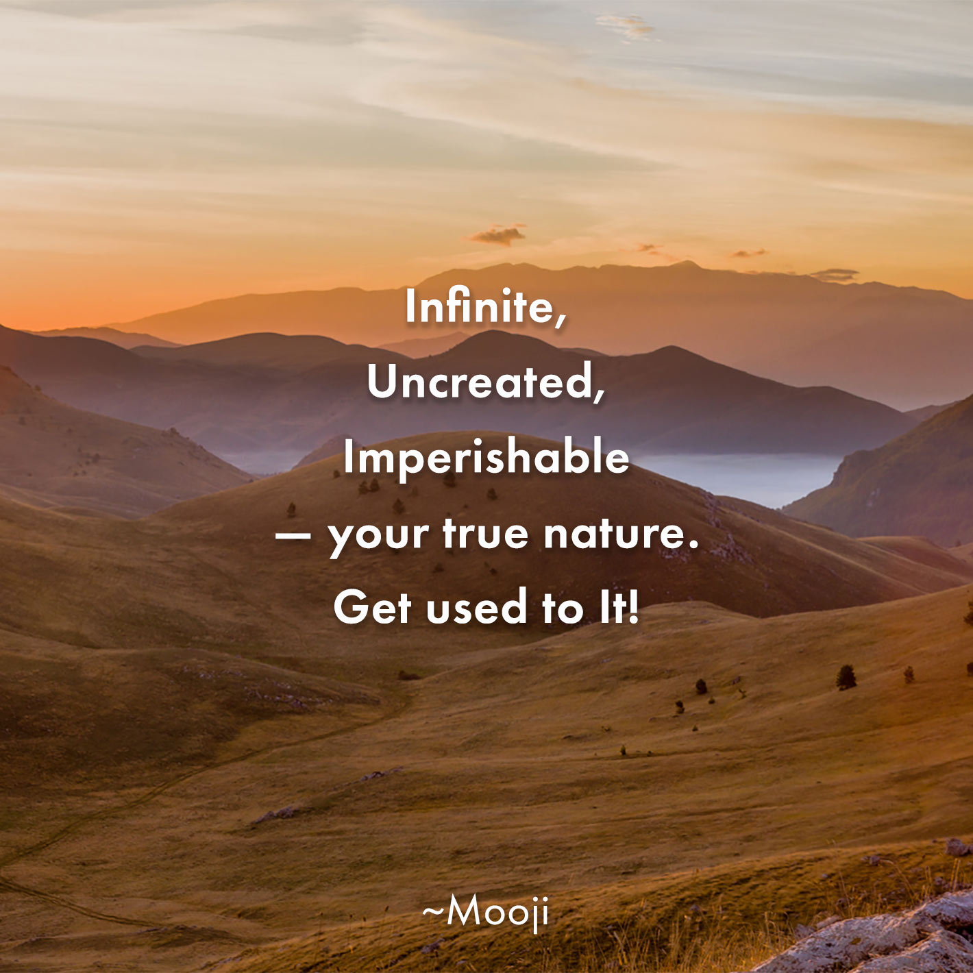 Quote of the Day - Mooji