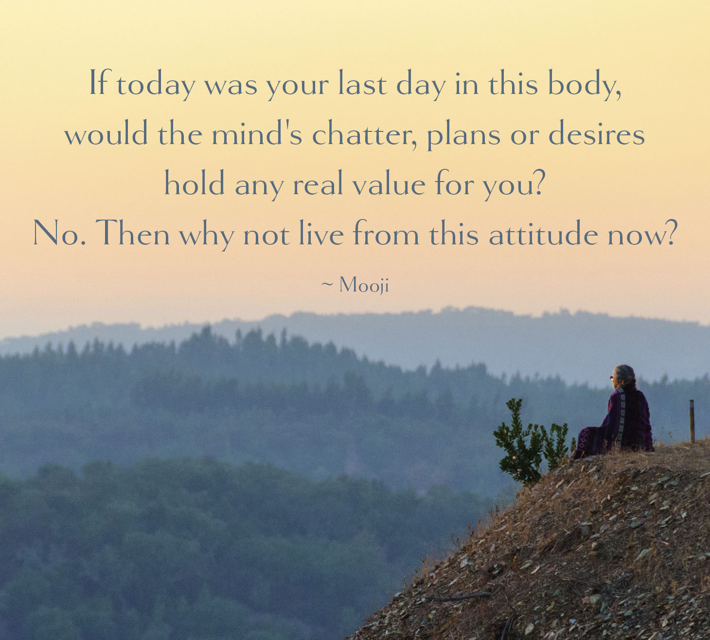 Quote of the Day - Mooji